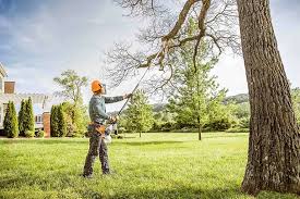 Best Lawn Drainage Solutions  in Sauk Rapids, MN