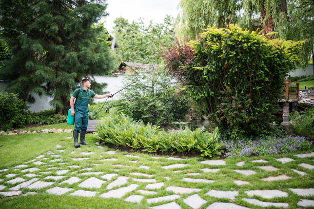 Best Tree Disease Treatment  in Sauk Rapids, MN