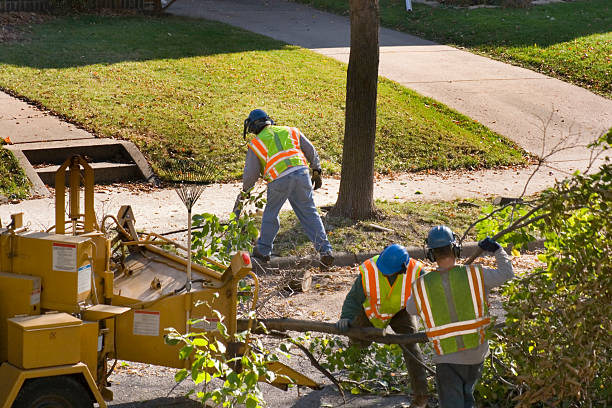 Best Landscape Design and Installation  in Sauk Rapids, MN
